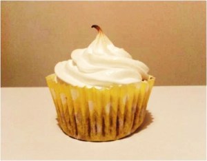 RH Ginger and Fudge Cupcakes