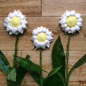 LynnsYuzuMeringueDaisies